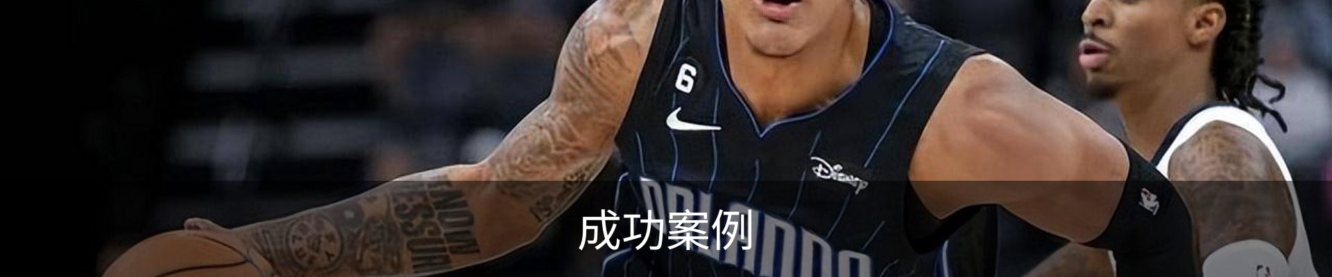 成功案例