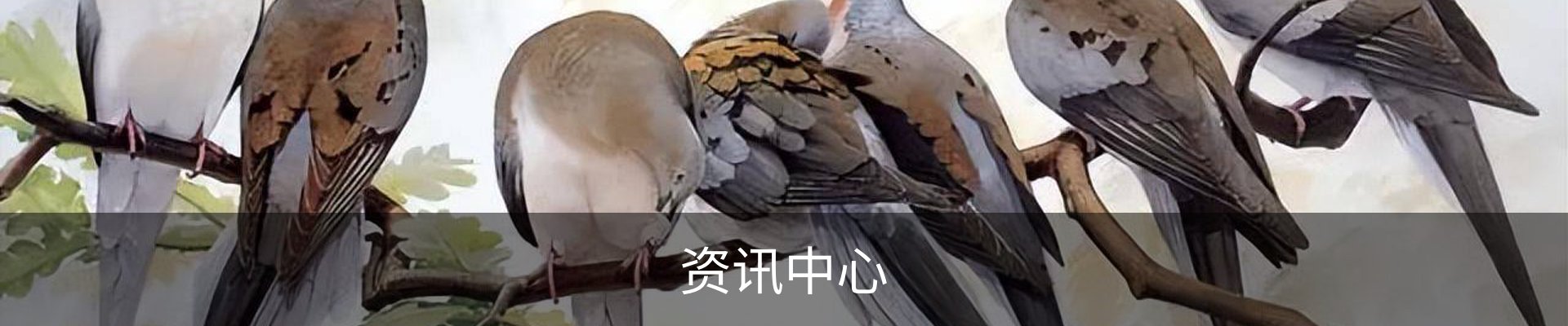 资讯中心